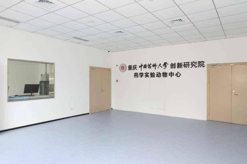 2026世界杯官网