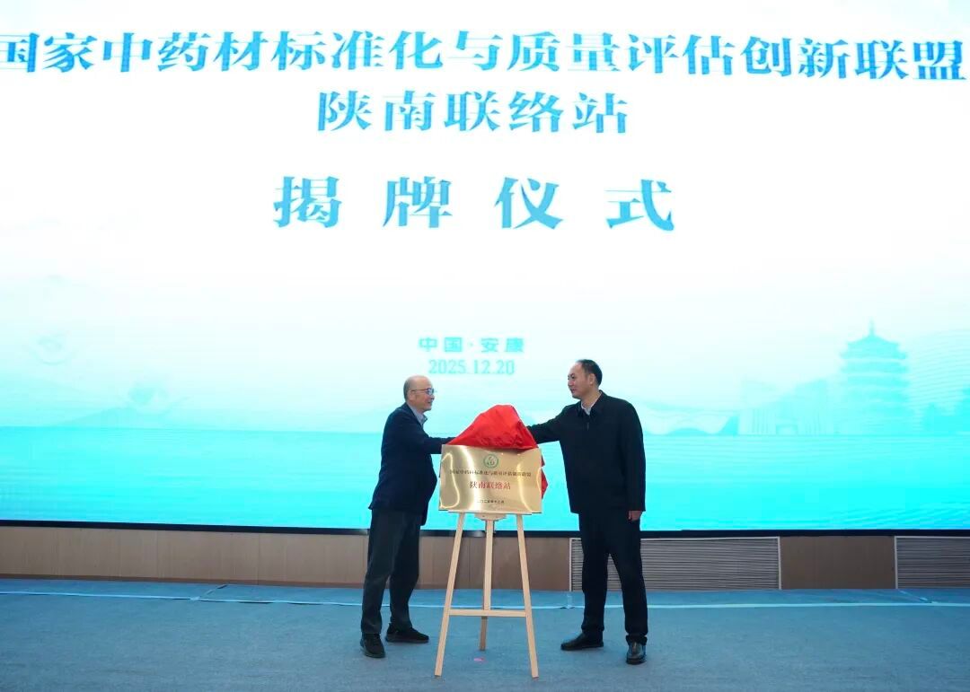 2026世界杯官网