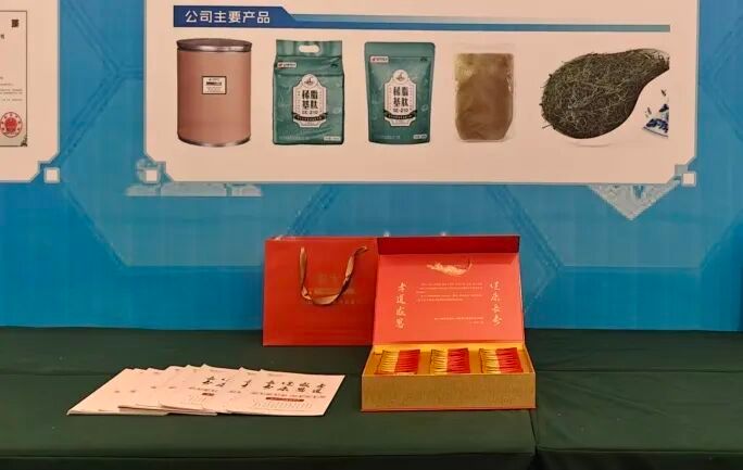2026世界杯官网