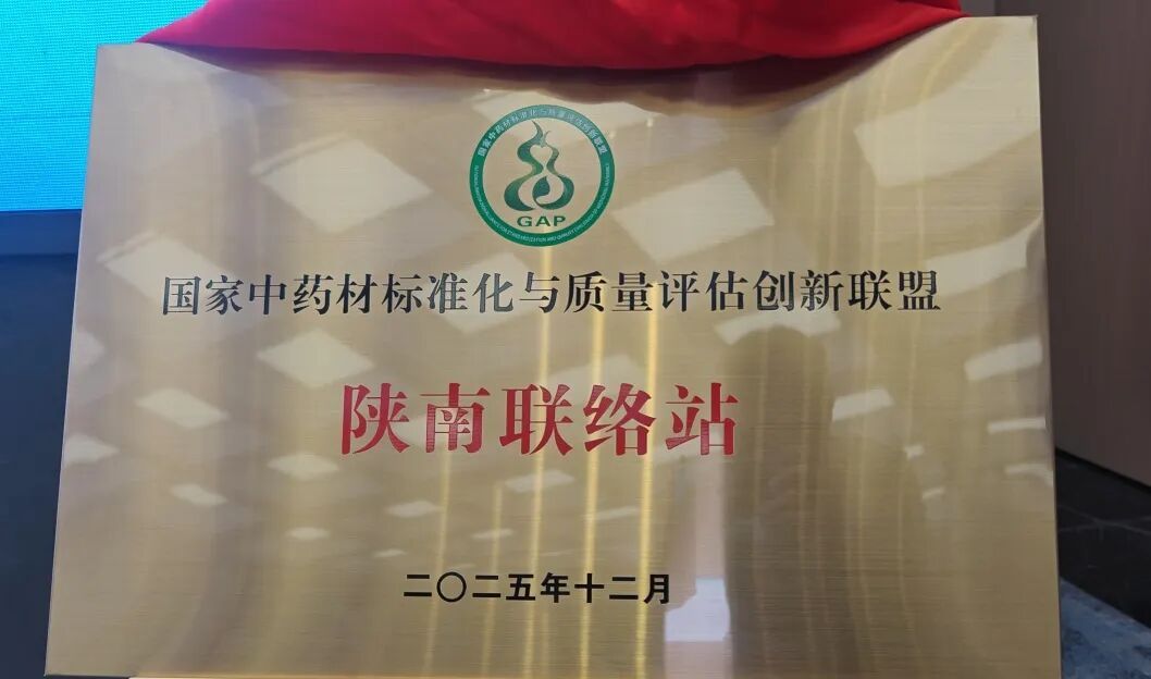 2026世界杯官网
