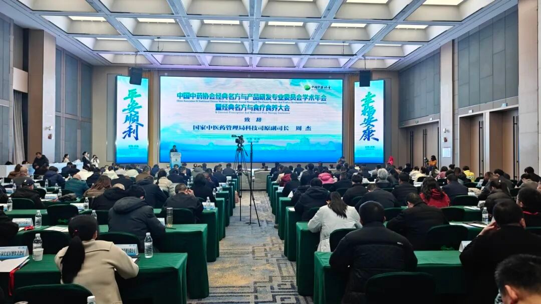 2026世界杯官网