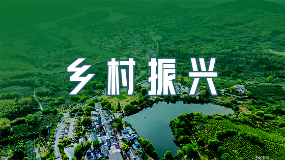 2026世界杯官网
