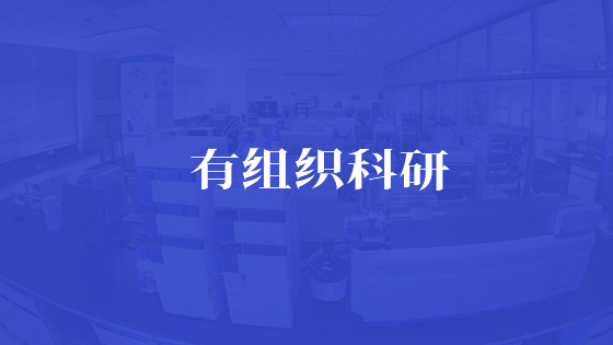 2026世界杯官网
